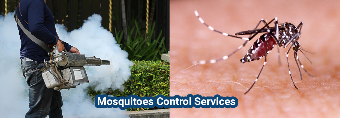Mosquitoes Pest Control Service