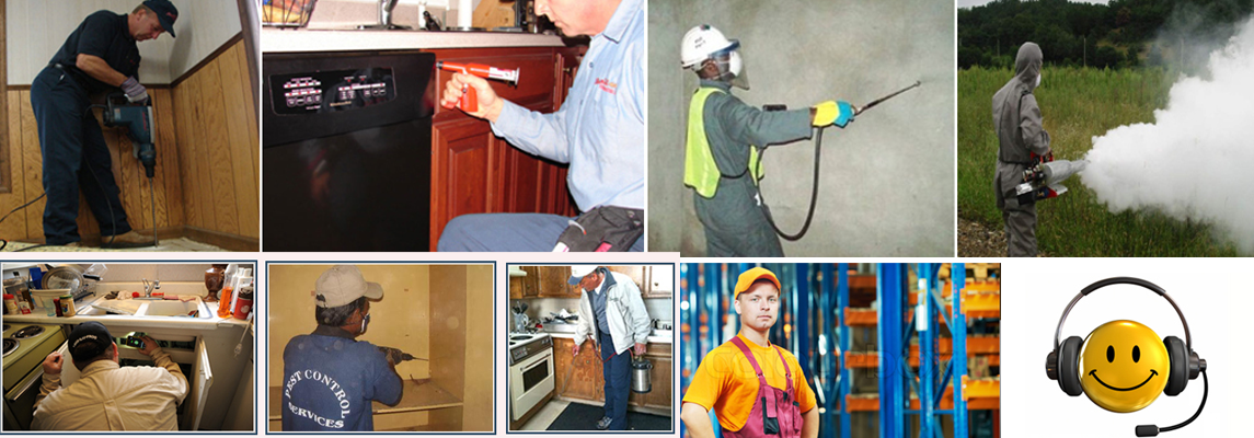 Pest Control Services in Noida