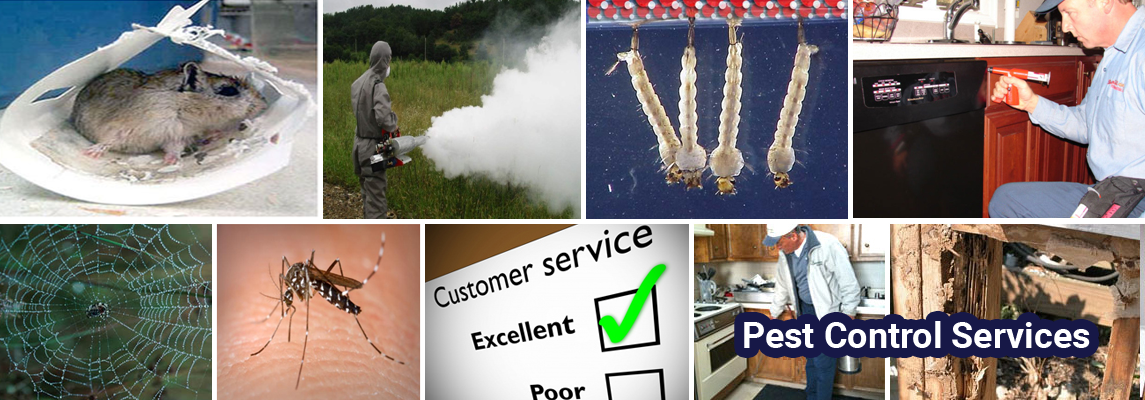 Pest Control Services