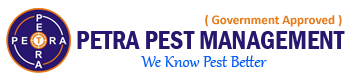 Pest Control in Noida